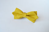 Maize yellow Bow tie