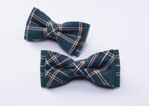 Jade Striped Bow tie