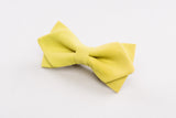 Maize yellow Bow tie